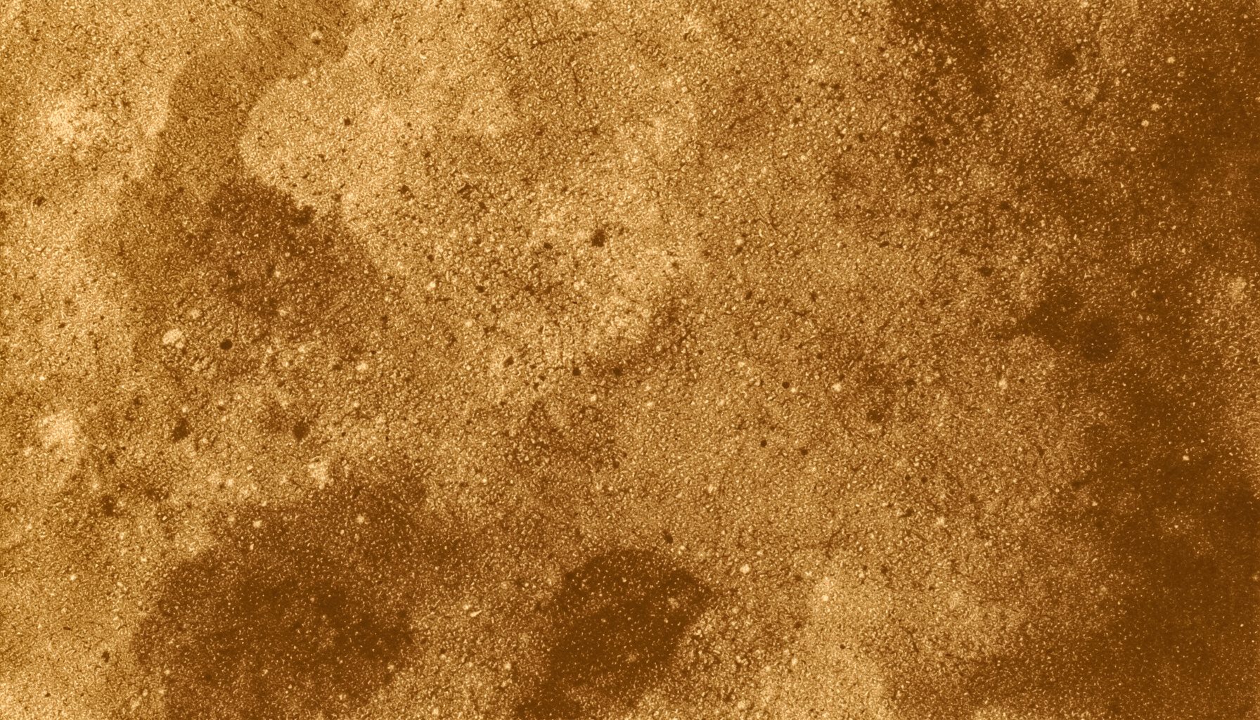 Surface abstraite aux tons sépia et brun doré, évoquant une texture granuleuse et chaleureuse.